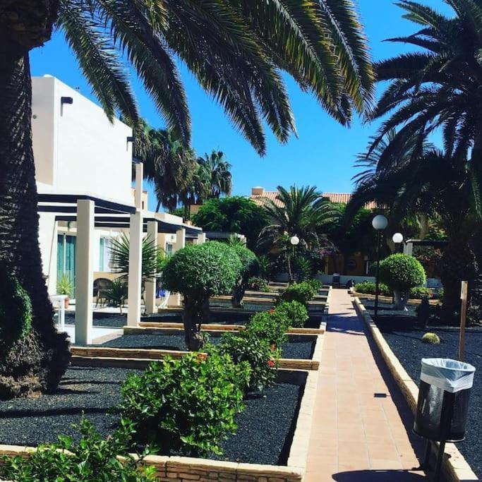 Corralejo Suite Pool & Gardens - Alisios Playa Exterior foto